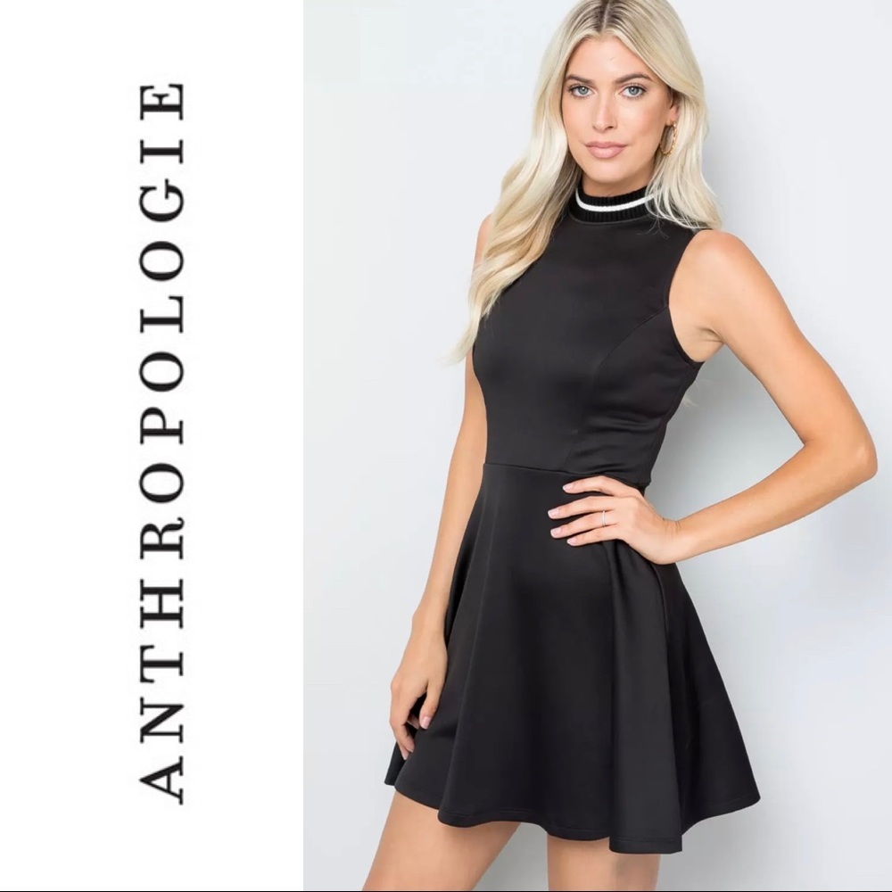 NWOT Anthro Finn & Clover Skater Dress